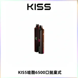 KIS5WAGOO哇酷6500口拋棄式 | 自由混搭雙口味 | 雙芯組合