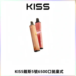 KIS5鎧斯5號一次性6500口磁吸式拋棄式電子煙#自由混搭#